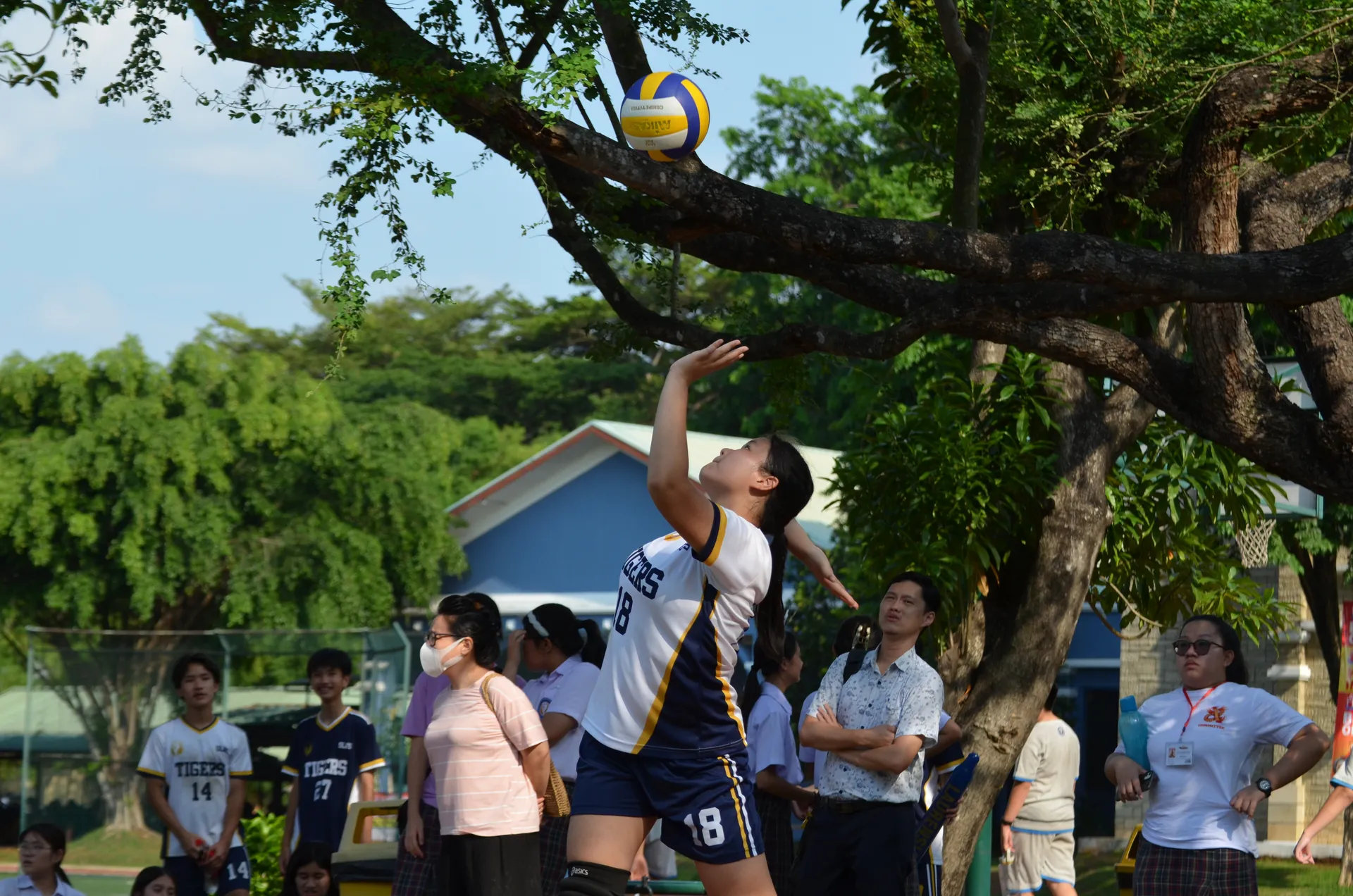 Pemain voli memulai dengan pukulan serve